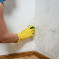 Identifying Mold and Moisture Problems in Your Home