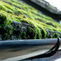 Effective Strategies for Preventing Moss and Algae Growth on Your Roof