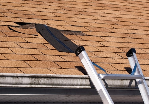 Identifying Signs of Roof Damage: What Homeowners Should Know