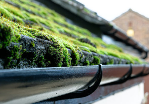 Effective Strategies for Preventing Moss and Algae Growth on Your Roof